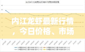 内江龙虾最新行情，今日价格、市场走势及消费者反应一网打尽