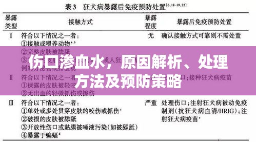 伤口渗血水，原因解析、处理方法及预防策略