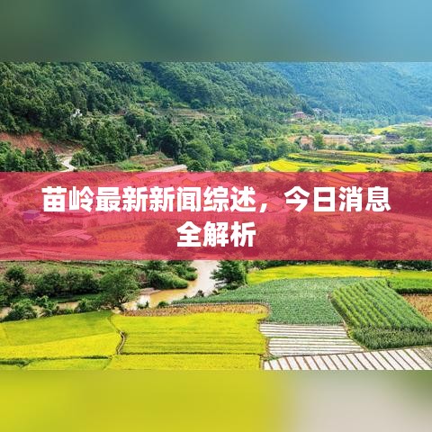 苗岭最新新闻综述，今日消息全解析