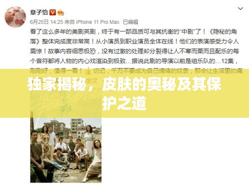 独家揭秘，皮肤的奥秘及其保护之道