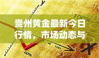 贵州黄金最新今日行情，市场动态与趋势解析