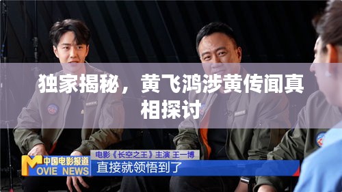 独家揭秘，黄飞鸿涉黄传闻真相探讨