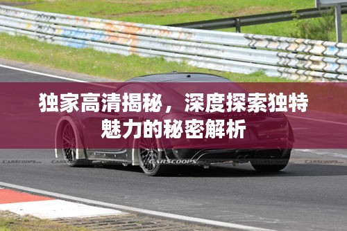 独家高清揭秘，深度探索独特魅力的秘密解析