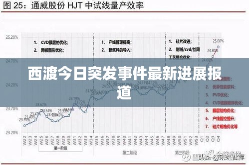 西渡今日突发事件最新进展报道