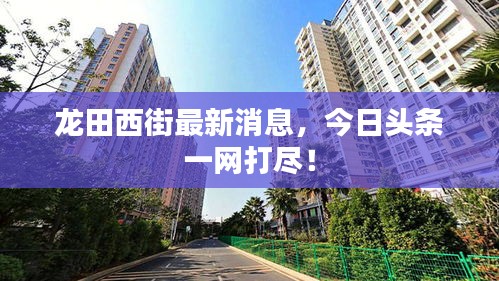 龙田西街最新消息，今日头条一网打尽！