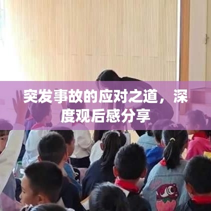 突发事故的应对之道，深度观后感分享