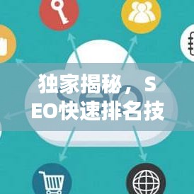 独家揭秘，SEO快速排名技术，优化秘籍大公开