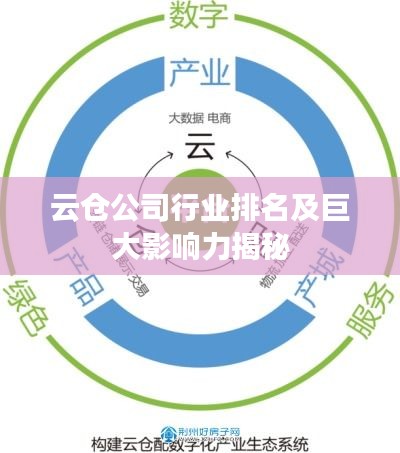 云仓公司行业排名及巨大影响力揭秘