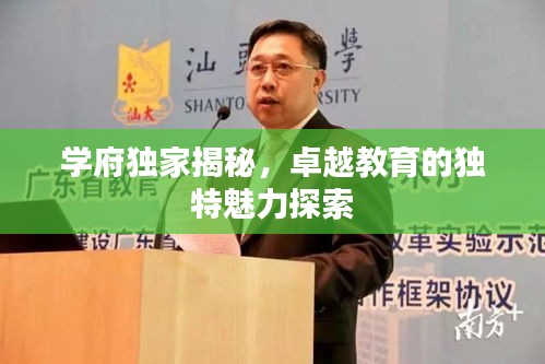 学府独家揭秘，卓越教育的独特魅力探索