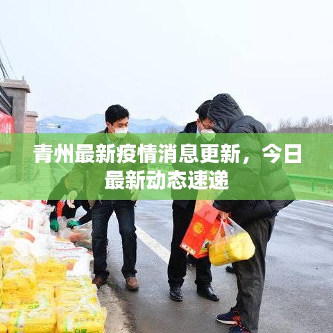 青州最新疫情消息更新，今日最新动态速递