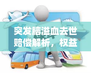 突发脑溢血去世赔偿解析，权益与责任的深度解读