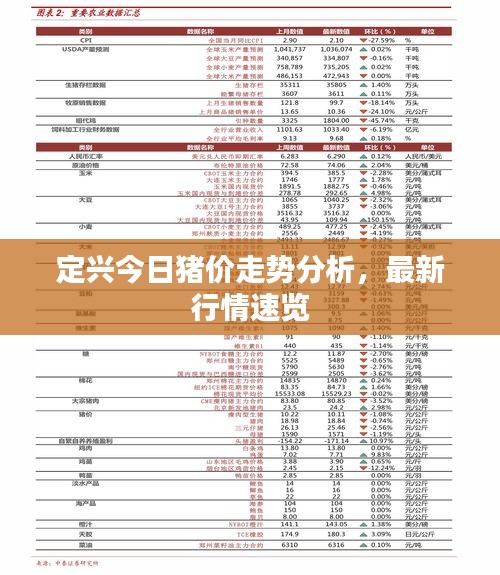 定兴今日猪价走势分析，最新行情速览