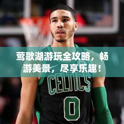 莺歌湖游玩全攻略，畅游美景，尽享乐趣！