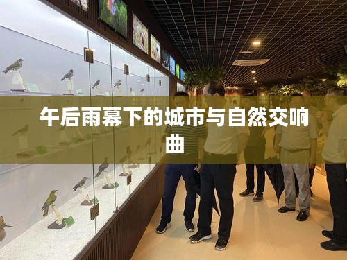 午后雨幕下的城市与自然交响曲