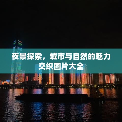 夜景探索，城市与自然的魅力交织图片大全