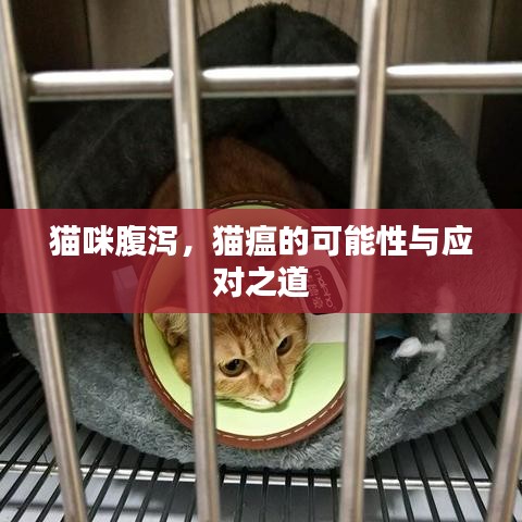 尽心竭力