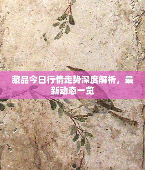 藏品今日行情走势深度解析，最新动态一览