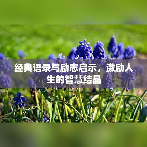 经典语录与励志启示，激励人生的智慧结晶