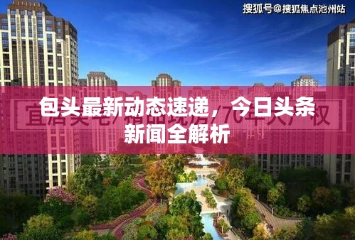 包头最新动态速递，今日头条新闻全解析