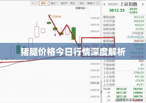 猪腿价格今日行情深度解析
