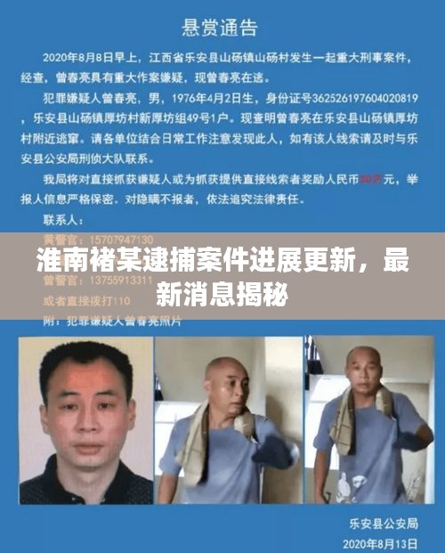 淮南褚某逮捕案件进展更新，最新消息揭秘