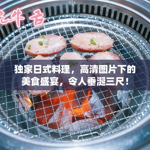 独家日式料理，高清图片下的美食盛宴，令人垂涎三尺！