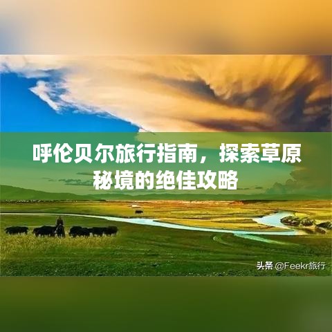 呼伦贝尔旅行指南，探索草原秘境的绝佳攻略
