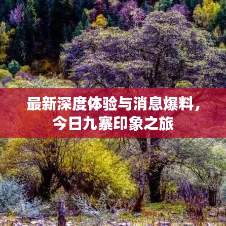 最新深度体验与消息爆料，今日九寨印象之旅