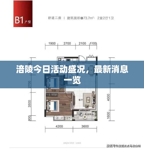 涪陵今日活动盛况，最新消息一览