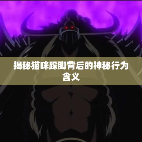 揭秘猫咪跺脚背后的神秘行为含义
