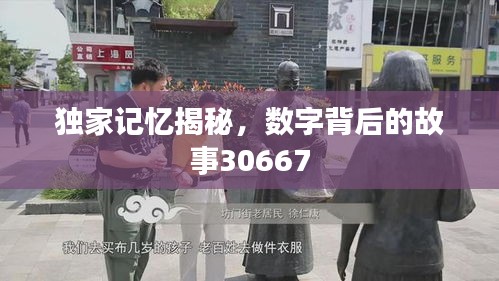 独家记忆揭秘，数字背后的故事30667