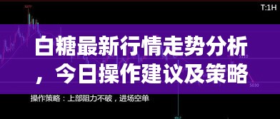 白糖最新行情走势分析，今日操作建议及策略解读