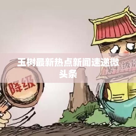 玉树最新热点新闻速递微头条