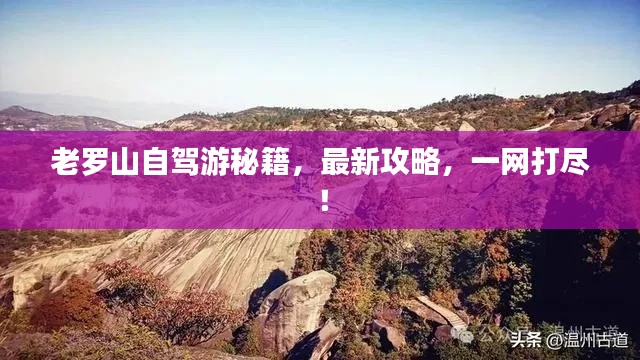 橘虞初梦