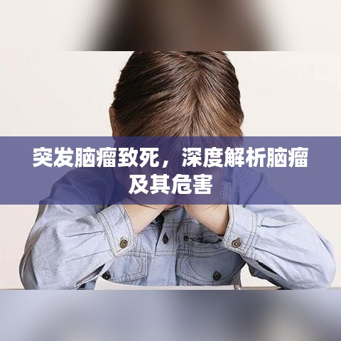 突发脑瘤致死，深度解析脑瘤及其危害