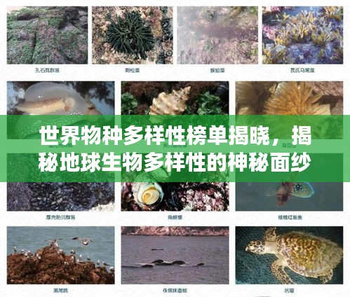 世界物种多样性榜单揭晓，揭秘地球生物多样性的神秘面纱