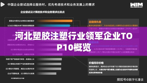 河北塑胶注塑行业领军企业TOP10概览