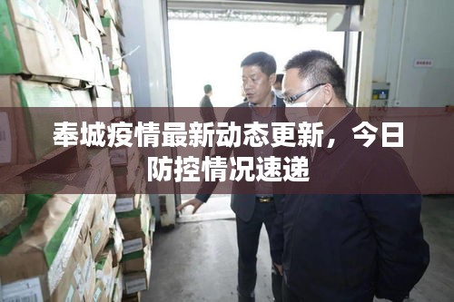 奉城疫情最新动态更新，今日防控情况速递