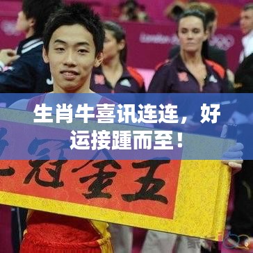 生肖牛喜讯连连，好运接踵而至！