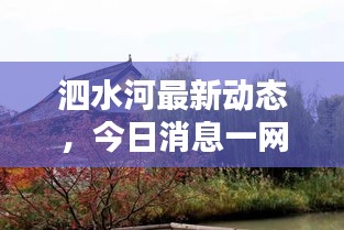 泗水河最新动态，今日消息一网打尽！
