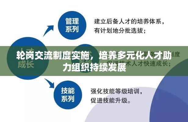 采椽不斫