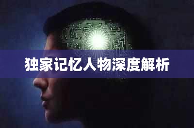 独家记忆人物深度解析
