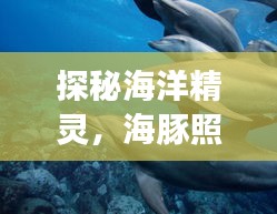 发硎新试