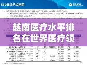 越南医疗水平排名在世界医疗领域的地位概览