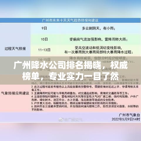 广州降水公司排名揭晓，权威榜单，专业实力一目了然