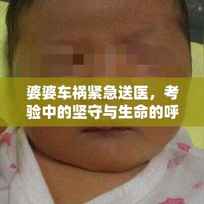 婆婆车祸紧急送医，考验中的坚守与生命的呼唤