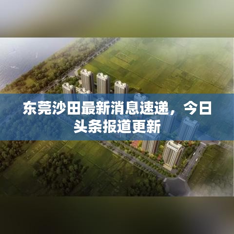东莞沙田最新消息速递，今日头条报道更新