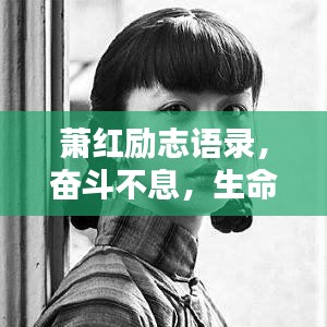 张飞穿针