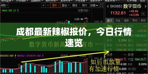 成都最新辣椒报价，今日行情速览