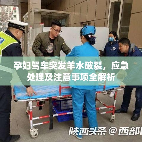 车主社区 第14页